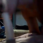 ��������������� ����������