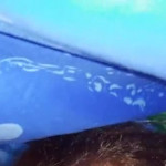 ��������� ������� ����� ����� - 1