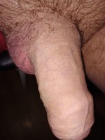 ���������� ����������