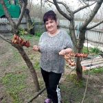 ����� �������� �������