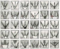 ������� �������!