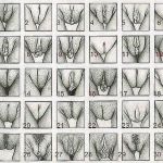 ������� �������!