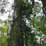 ���� � ��������