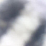 �������� � �����