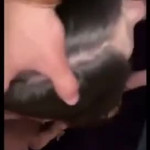 ����� �������� � ���� ������