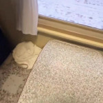 ���� � ������.