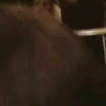 ����� ������� ������ � �����