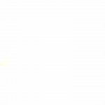 ������ ������ ���� ��������