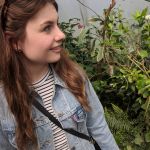 ���� ����� �� ����� ������