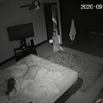 ���� ���� � ����� ������ �� �������