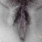 �������� �����