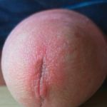 ����� �.����