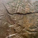 ��������� �������.