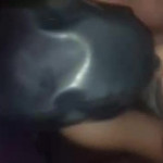 ������ �����