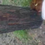 ��, ���, �����!