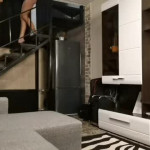 ������ ���������