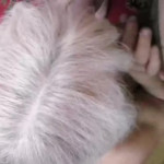 ��������� ���������