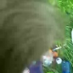 ������ �����