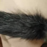 �������� �������