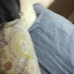 �������� �������