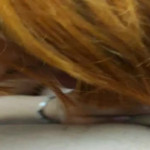 �������� ��������