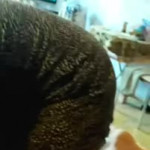 ����� � ��������