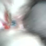 ������������ �����