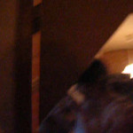 �������� ����� � ����