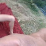 ���� � ���� ����� � ����