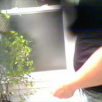 ���������� � �������