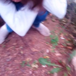 ��������� �������