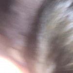 ���� ������ �����