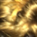 ��������� ��������� ���