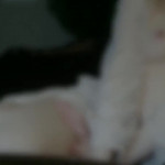 ������� ������� ������