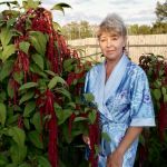 �������� ����� �� ������