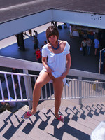 ������� ���������� ���� �����