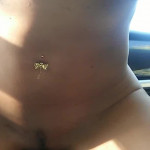 ������������� �������� �������� ����