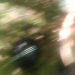 � ����� � ��������