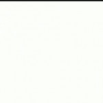 �������� �����������