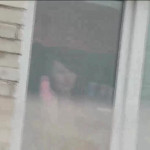 ������� ���� ����