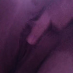 ����. ������ ���� �� �������