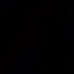 ��������������� �����