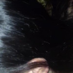 ����� ��������� ����� ���� ����