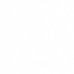 � ����� �������