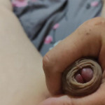 ������� ����������