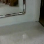 � ��� ��������?