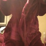 ����� ��������� �������