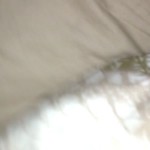 �������� �����.