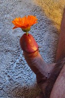 ��� ��������� ������